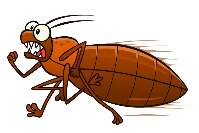 Дезинсекция от блох