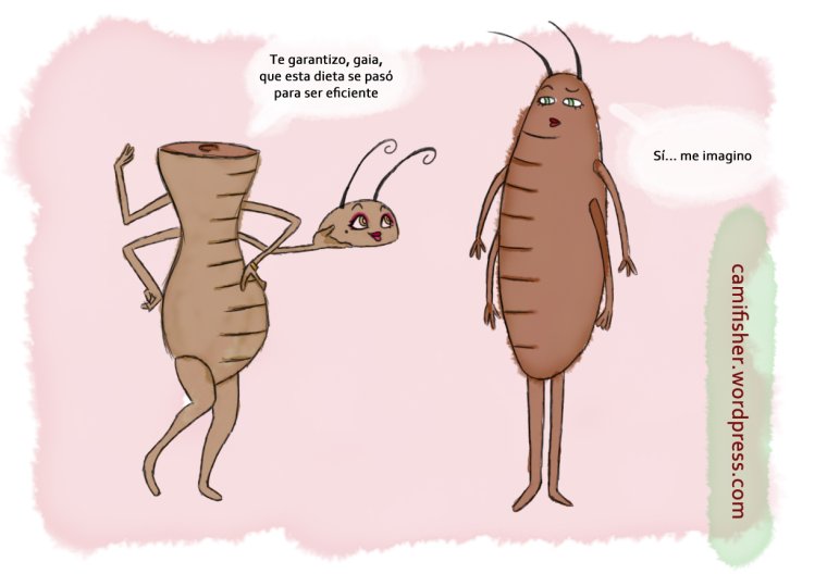 Владимир Анискин блоха