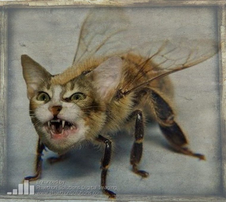 Прыжок блохи