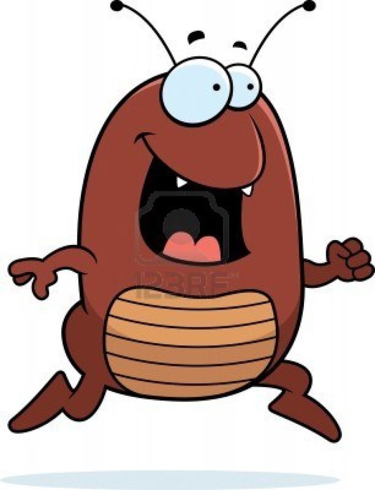 Микрофотография дождевого червя