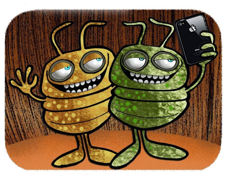 Блоха прикольная