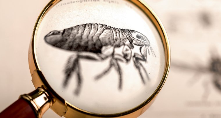 Дезинфекция карикатура