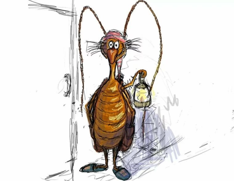 Два таракана