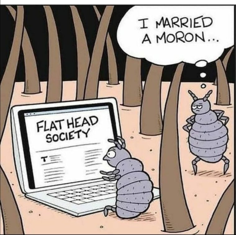 Обитатели микромира