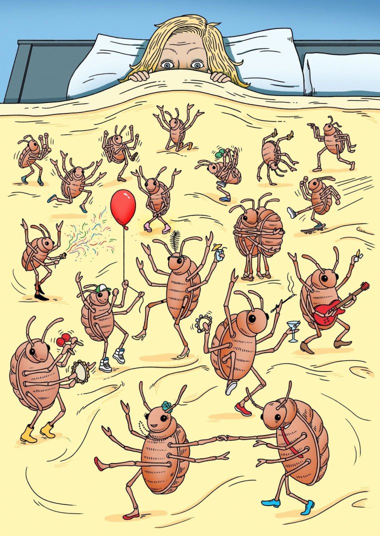 Кот напугал собаку