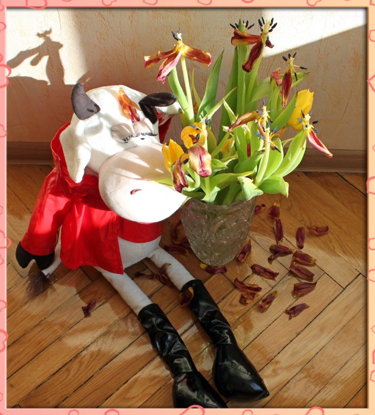 Прикольные букеты