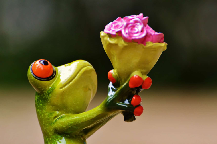 Смешной цветочек