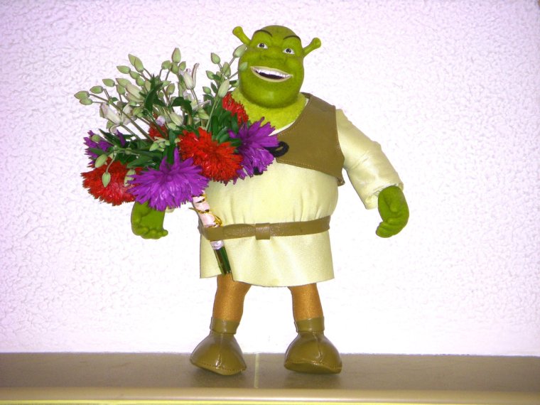 Шрек с цветами