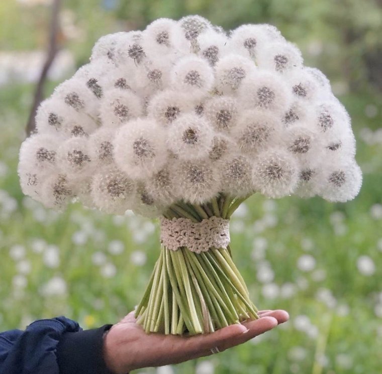 Букет одуванчиков