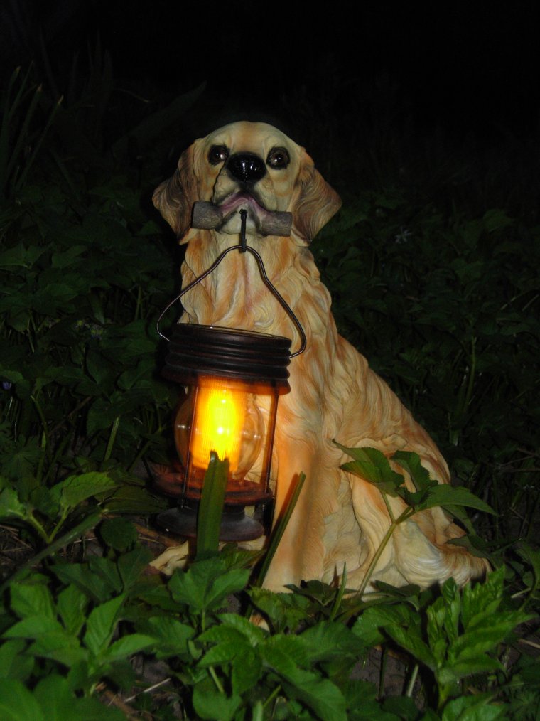 Фонарик для собак