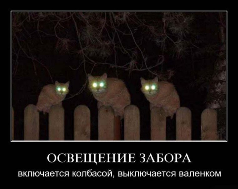 Смешной фонарик