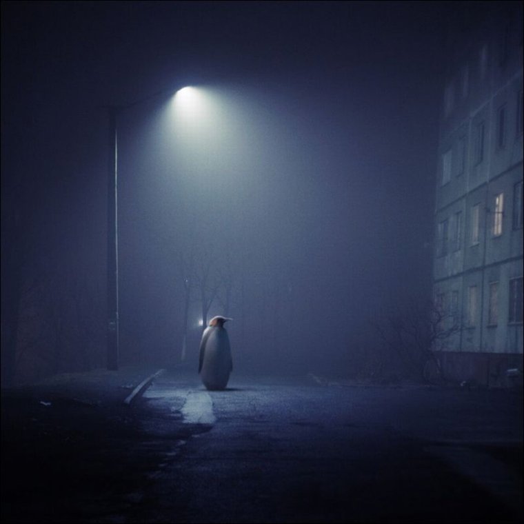 Фонарь в темноте