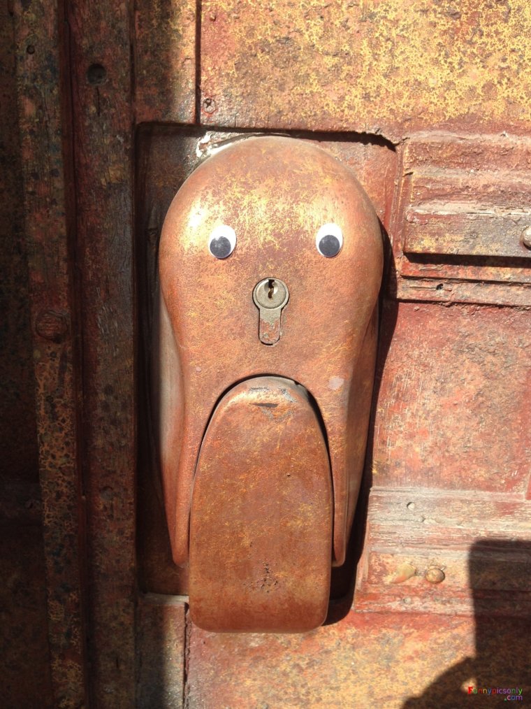 Смешные предметы с глазами