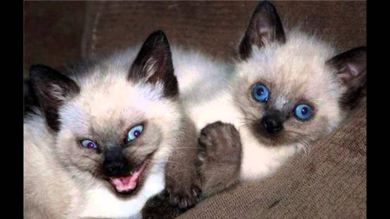 Боже мой как тесен мир радовался врач назначая гаишнику