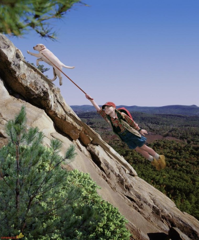 Приколы про горы