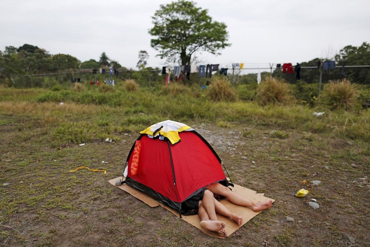 Палатка юмор