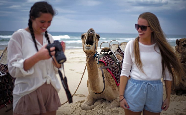 Странные туристы