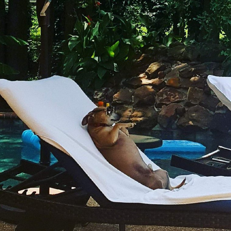 Отдыхаю прикол