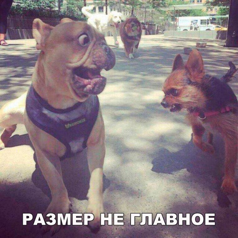 Убойный юмор фото