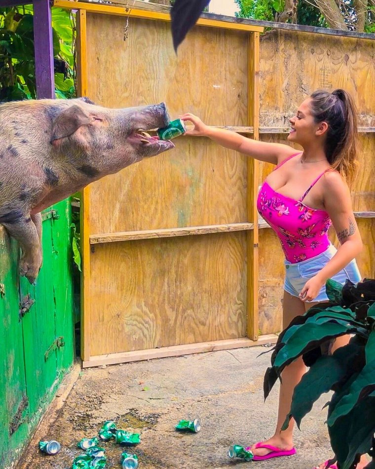 Убойные фотоприколы