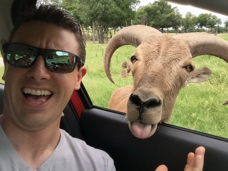 Прикольные селфи