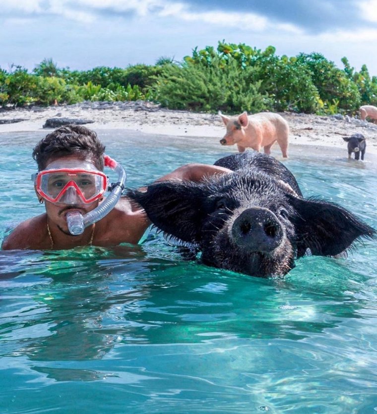 Отдых смешные