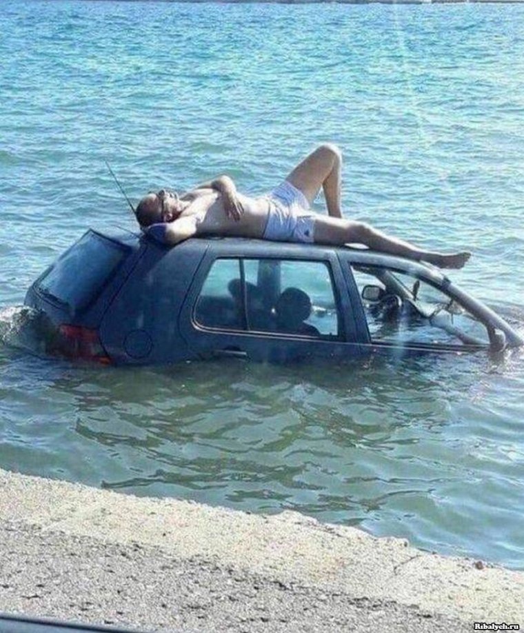 Смешные картинки приколы