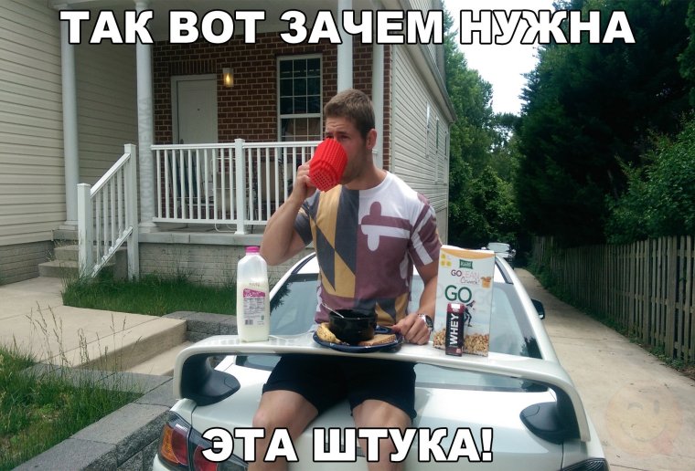 Собаки юмор