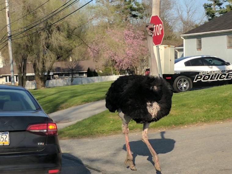 Прикольные фото