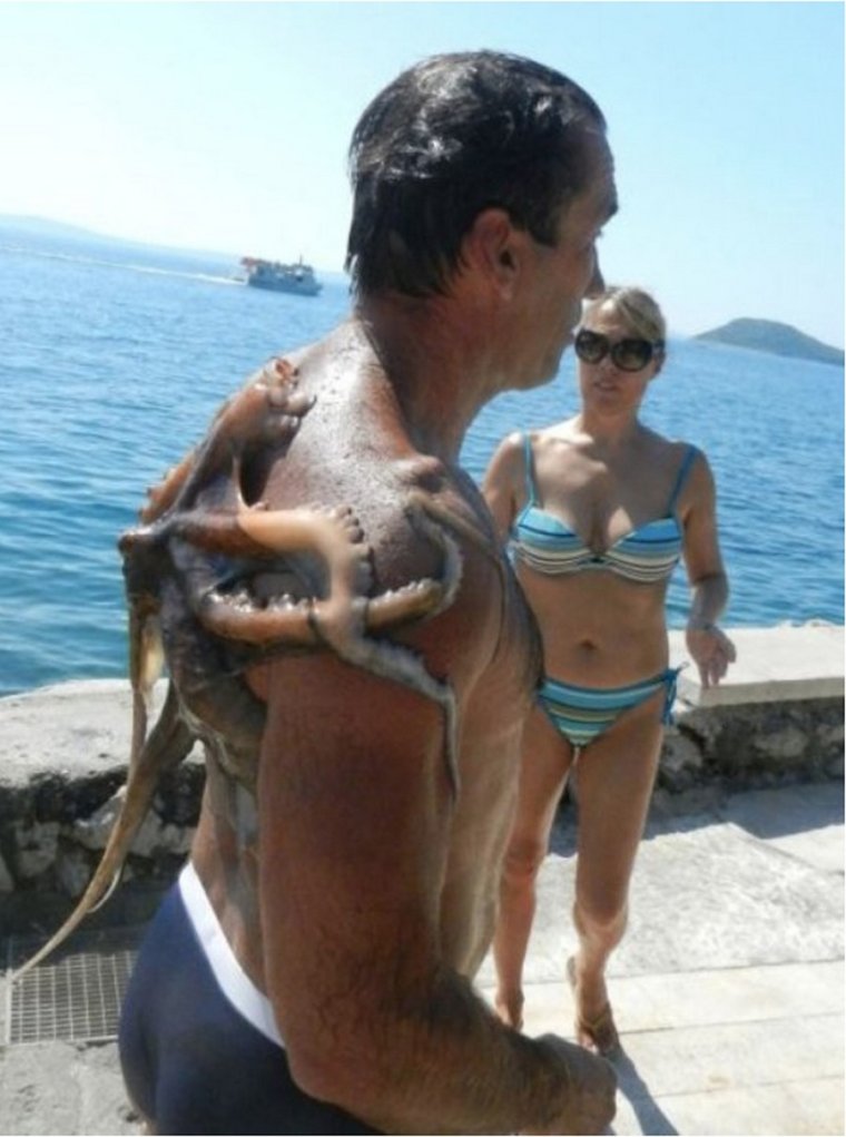 Веселье прикол