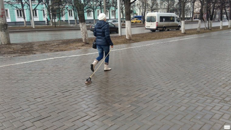 Выгуливает утюг