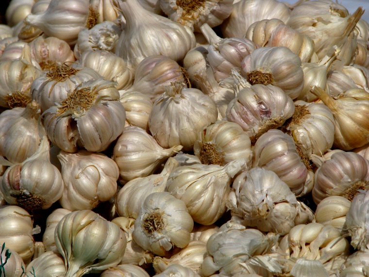 Желтый чеснок