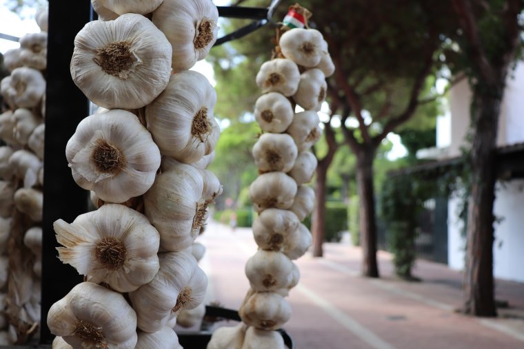 Страшный чеснок