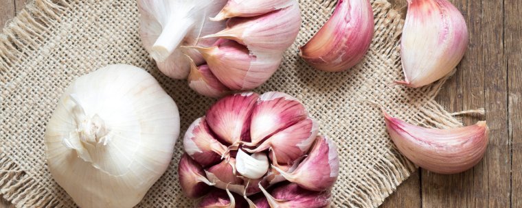 Чеснок 4 зубчика