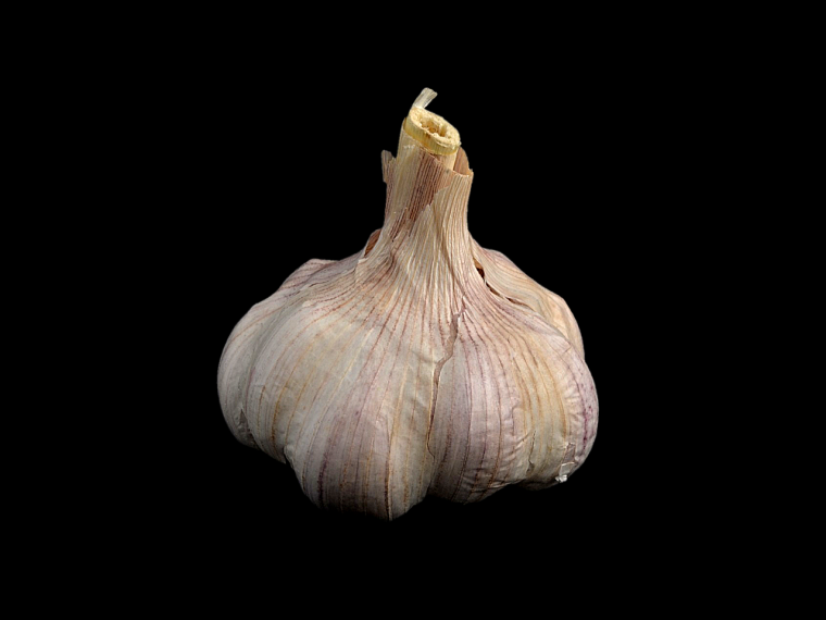 Головка чеснока