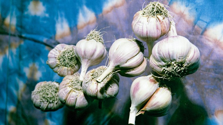 Китайцы прописали чеснок