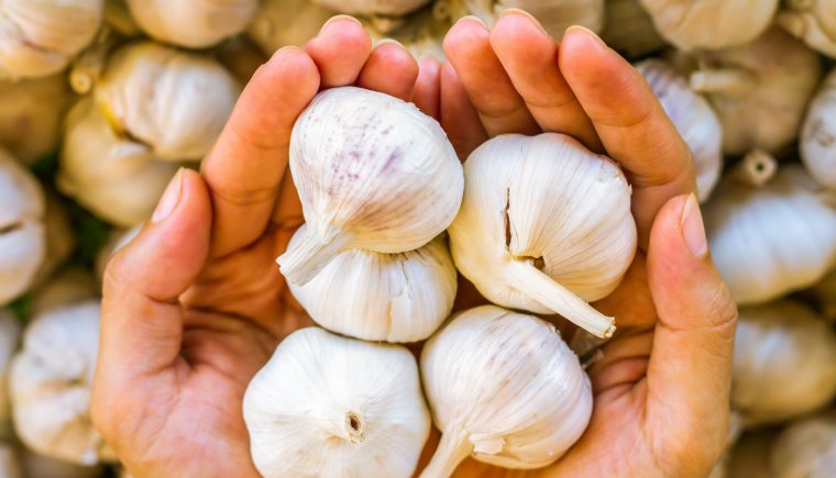 Человек чеснок