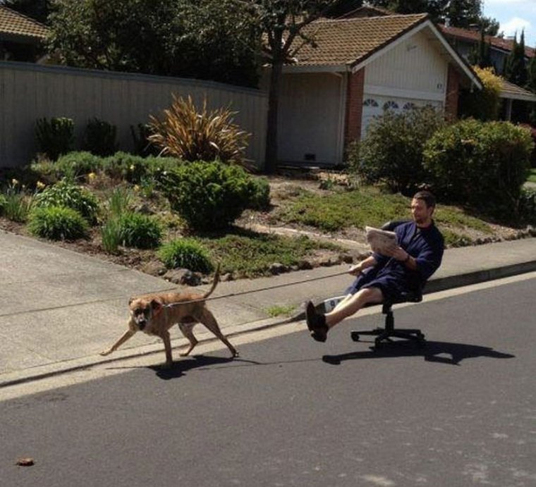 Смешная прогулка