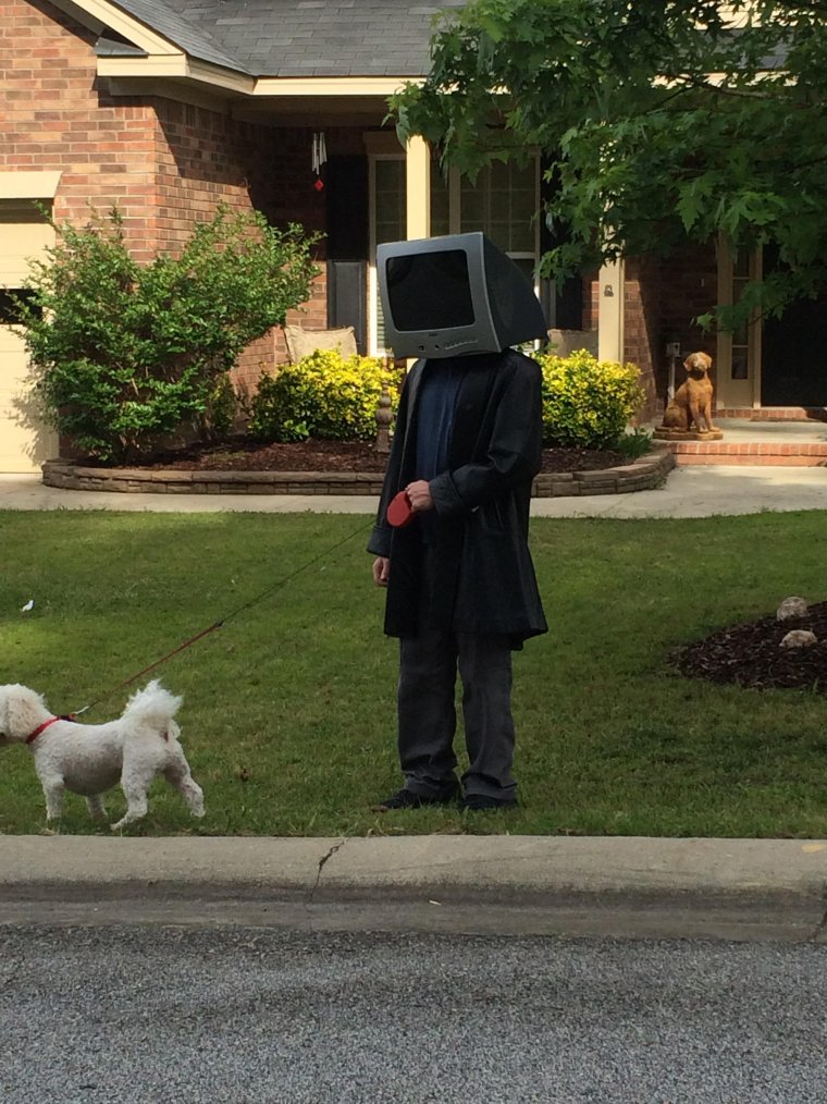 Человек выгуливает пса