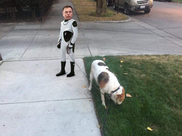 Выгуливает в костюме собаки