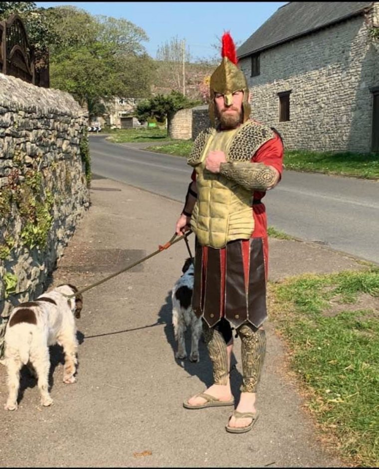 Собака смешная в доспехах