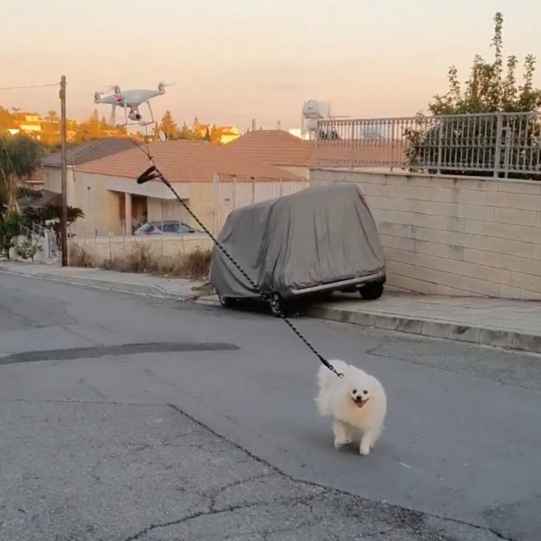 Дрон для выгула собак