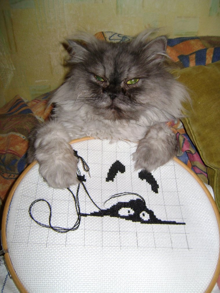 Вышивка приколы