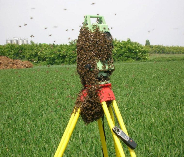 Геодезия приколы