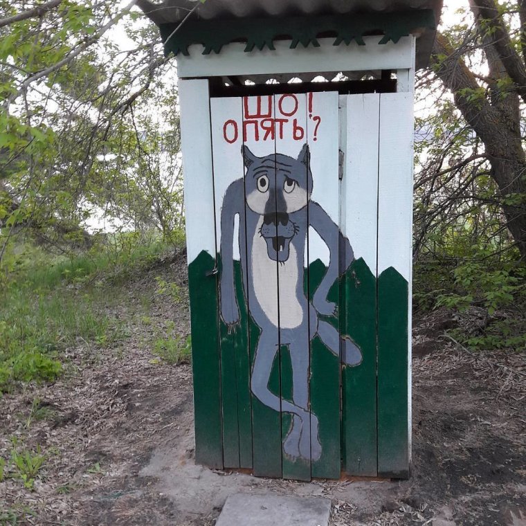 Прикольный туалет на даче