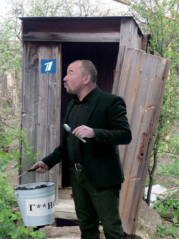 Сортир качели