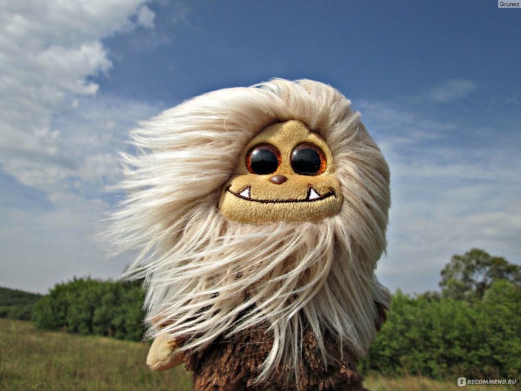 Лохматый Домовенок