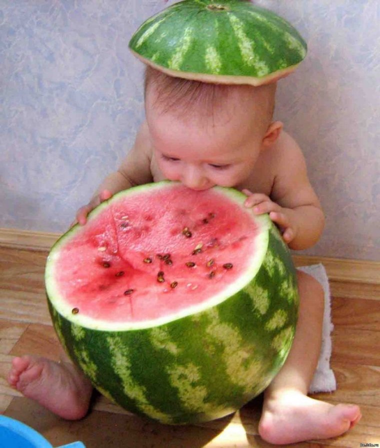 Забавные арбузы