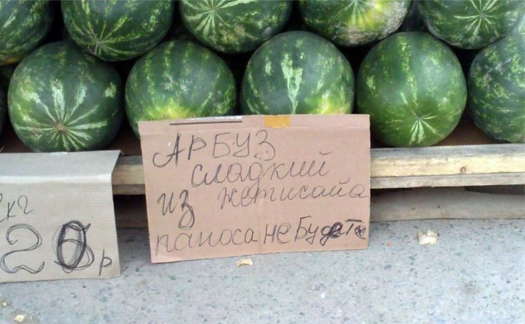 Дыня прикол