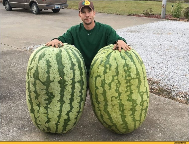 Самый большой Арбуз